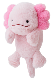 Posture Pal - Dream Display