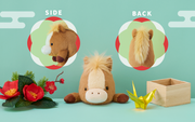 Posture Pal - Shelf Display