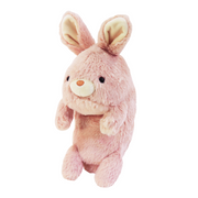 Posture Pal - Dream Display