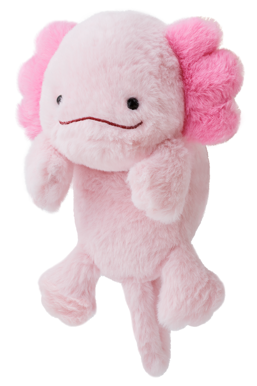 Posture Pal - Cute Ready