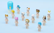 Animal 4 Series - Gift Ready
