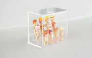 Sonny Angel Acrylic Display Case - Daily Charm
