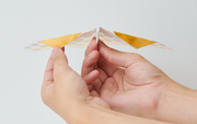 Papillon Origami Airplanes - Cute Display