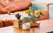 Play Plants Bonsai Puzzles - Pocket Carry