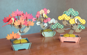Play Plants Bonsai Puzzles - Mini Choice