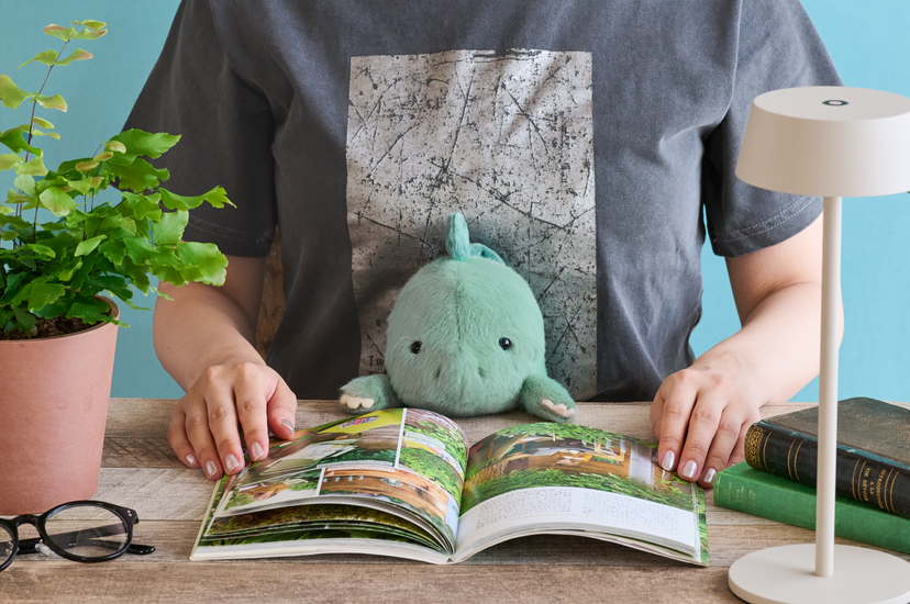 Posture Pal - Dinosaur - Shelf Choice
