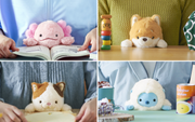 Posture Pal - Dream Display