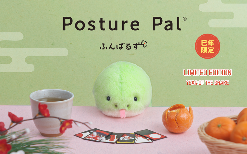 Posture Pal - Mini Pick