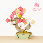 Play Plants Bonsai Puzzles - Classic Pick