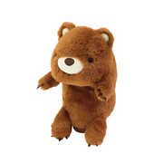 Posture Pal - Series Choice